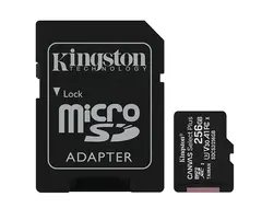 Kingston Canvas Select SDHC Kort 256GB Minnekort til viltkamera
